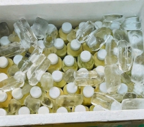 Sữa bắp 
