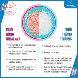 Muối Hồng Himalaya